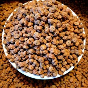 Tiger Nuts