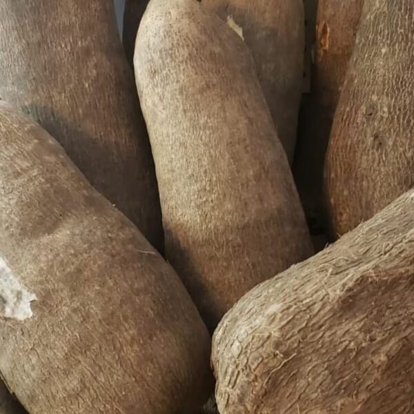 Sweet Ghana Yam