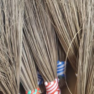 Nigerian Broom